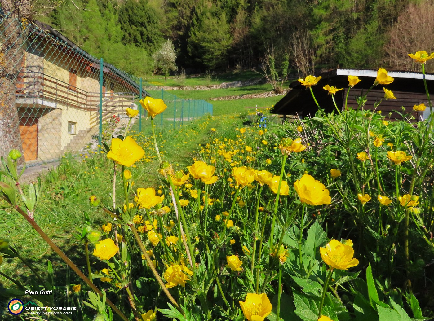 08 Imbocco il segnalato sentiero per Croce di Bracca e Pizzo di Spino..JPG